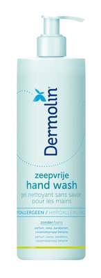 Dermolin Zeepvrije hand wash