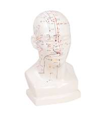 Chinese acupuncture head_0