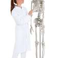Didactic skeleton “Oscar”_2