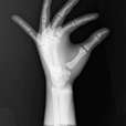 Sectional X-ray phantom with artificial bones - Left Hand, transparent_0